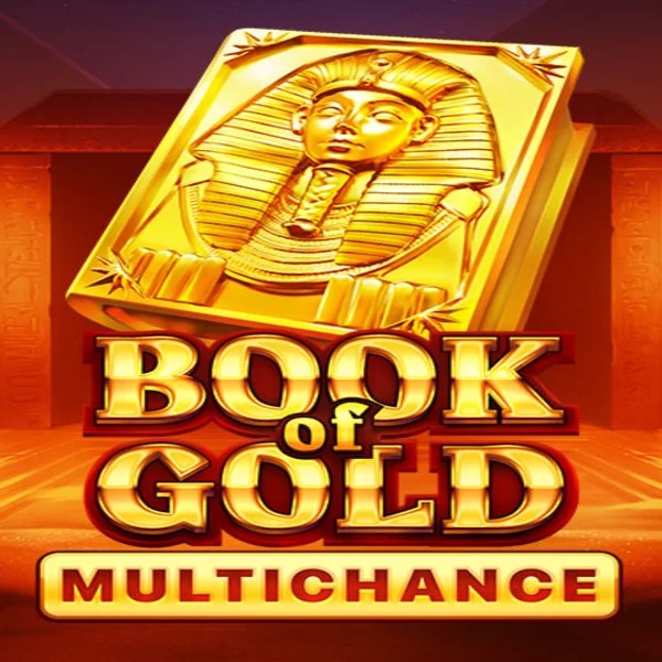Slots logo of Book of Gold Multichance from Playson at Slotrize Casino