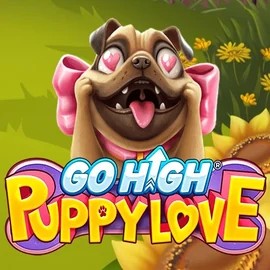 Go High Puppy Love slot icon by RubyPlay, available at Slotrize Casino